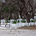 20110227 9950RAfw Manavgat Friedhof