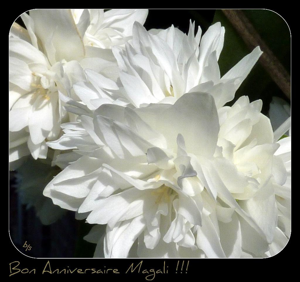 Pour Magali