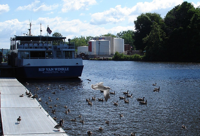 Kingston, NY. USA / 22 juillet 2010 - Recadrage