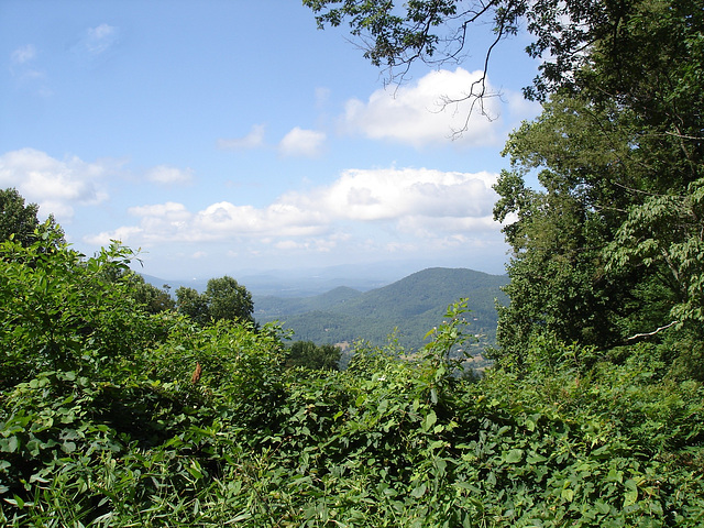 Blue ridge parkway - North Carolina / Caroline du nord (NC) - USA / 14 juillet 2011.