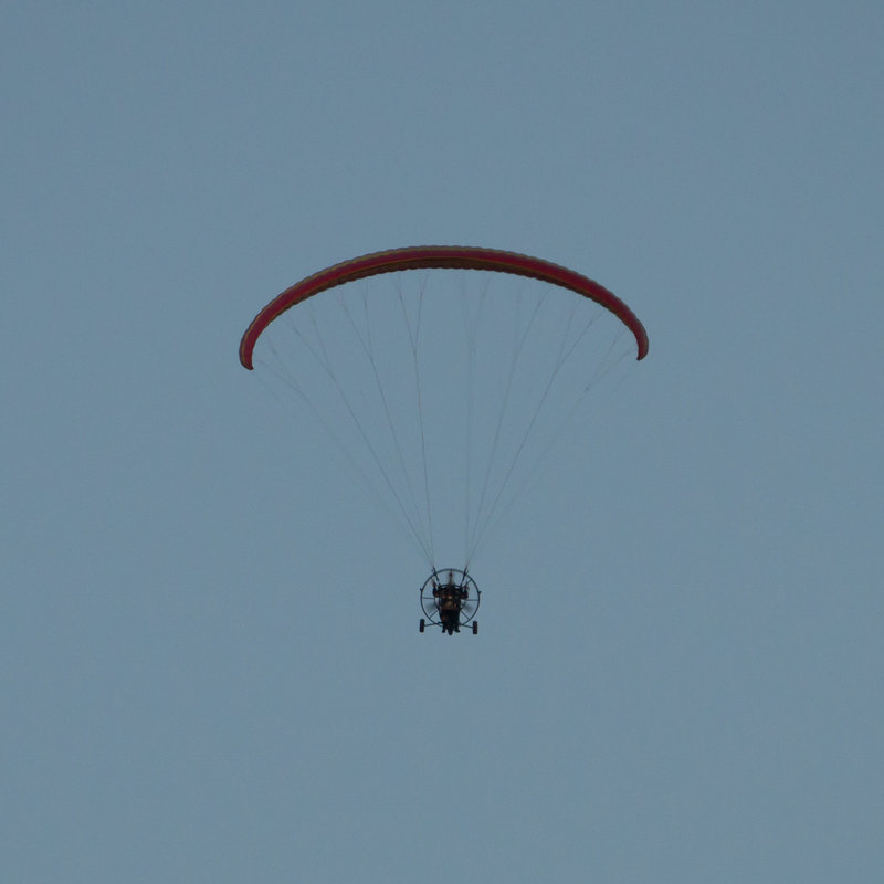Motorschirm DSC06681