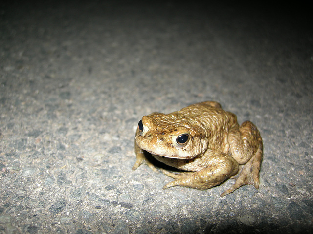 mitten in der Nacht