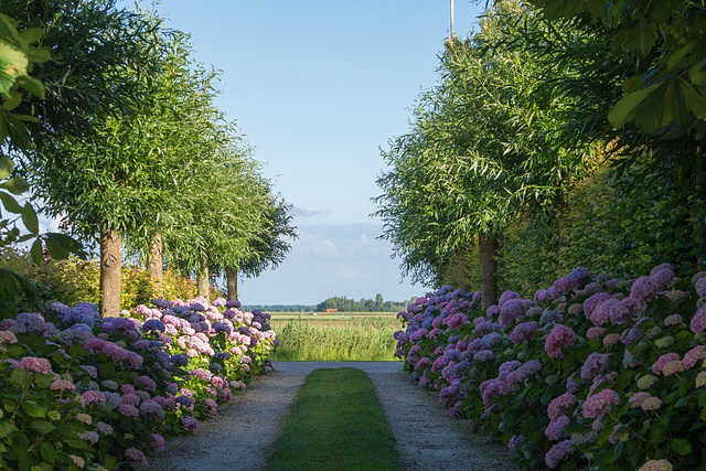 Niederlande Schoondijke DSC06639