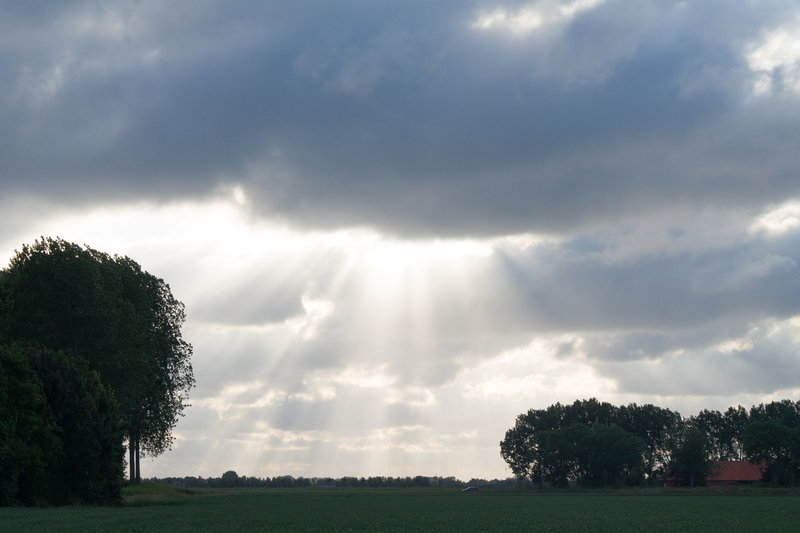 Niederlande Nieuwvliet DSC01409