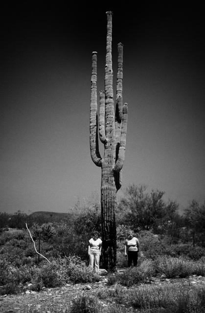 2 girls_kissed_a_cactus