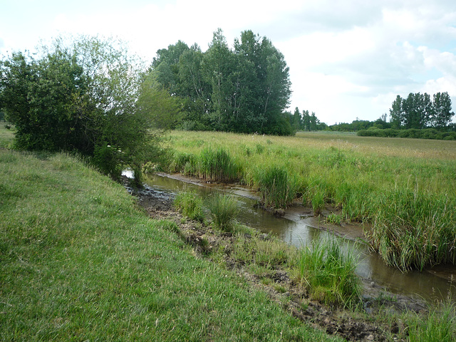 Tápió - rivero Tápió, Naturprotekta Tereno