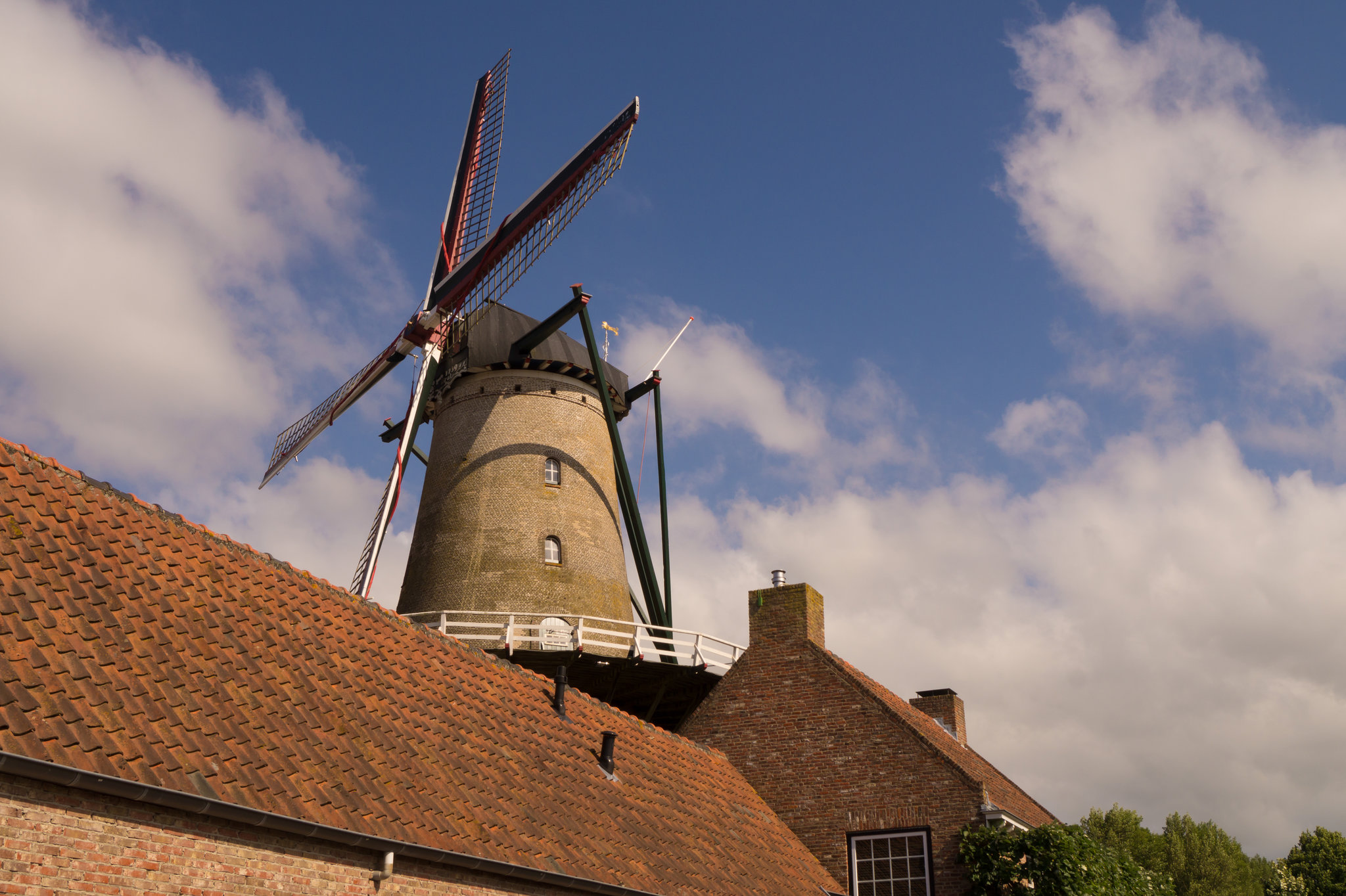 Windmühle in Sluis DSC06428