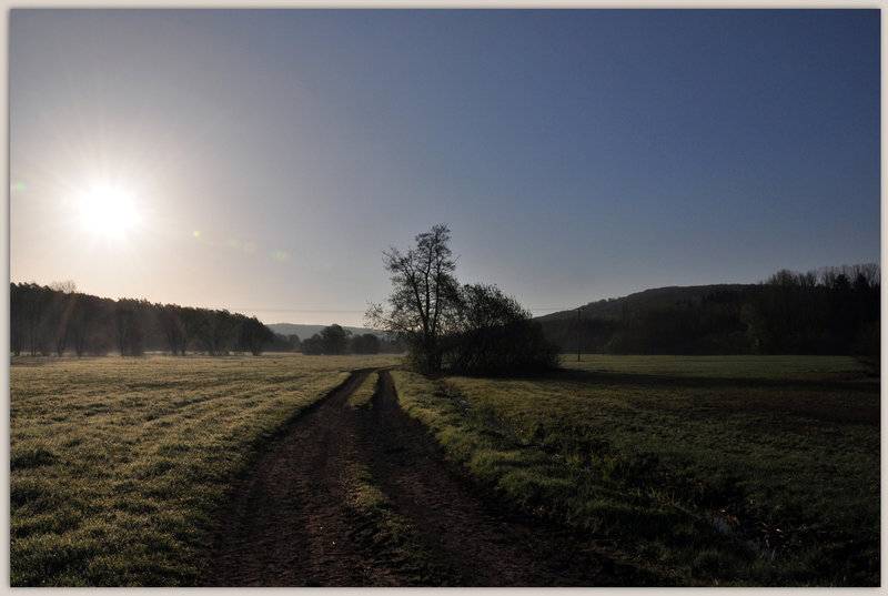 Frostiger Morgen