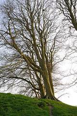 Avebury