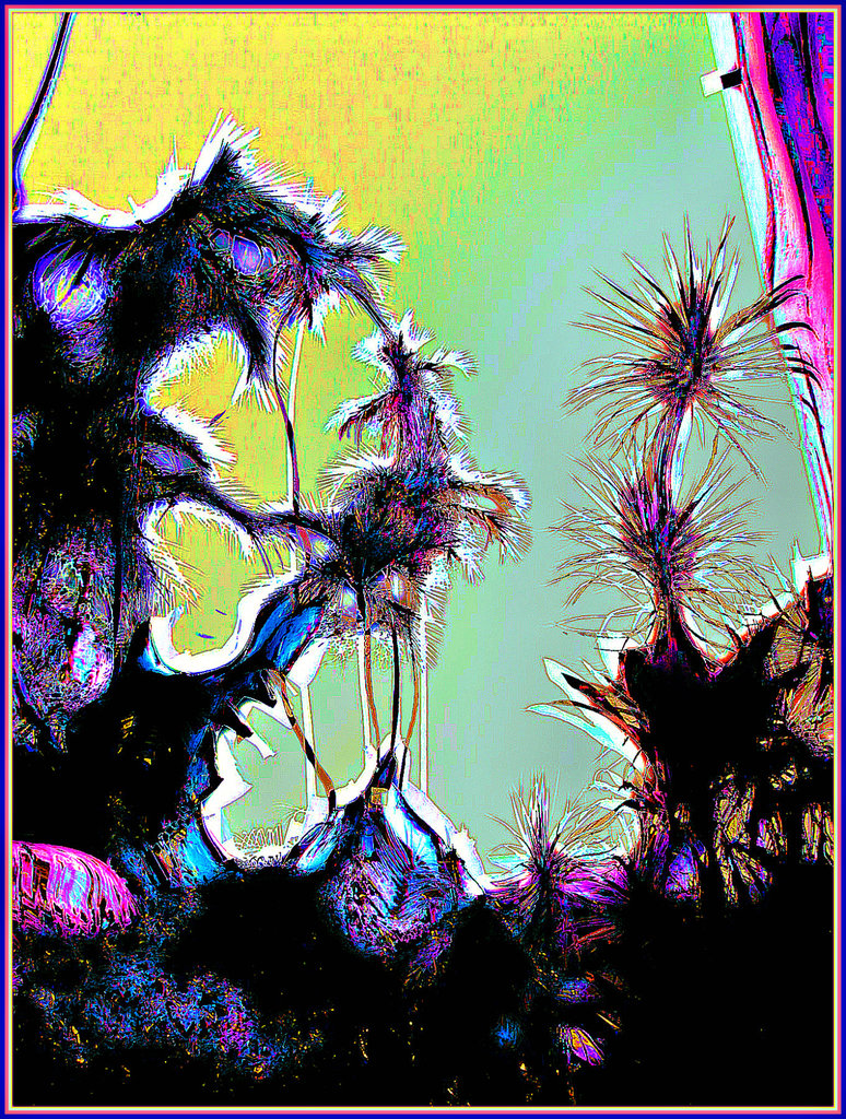 The Adaptation of Species