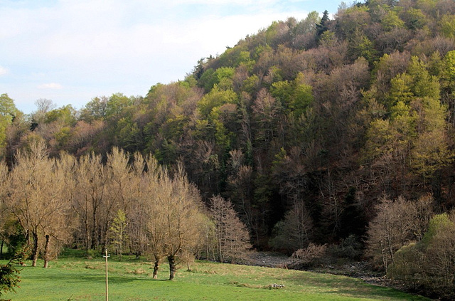 Vallée de la Gazeille 2