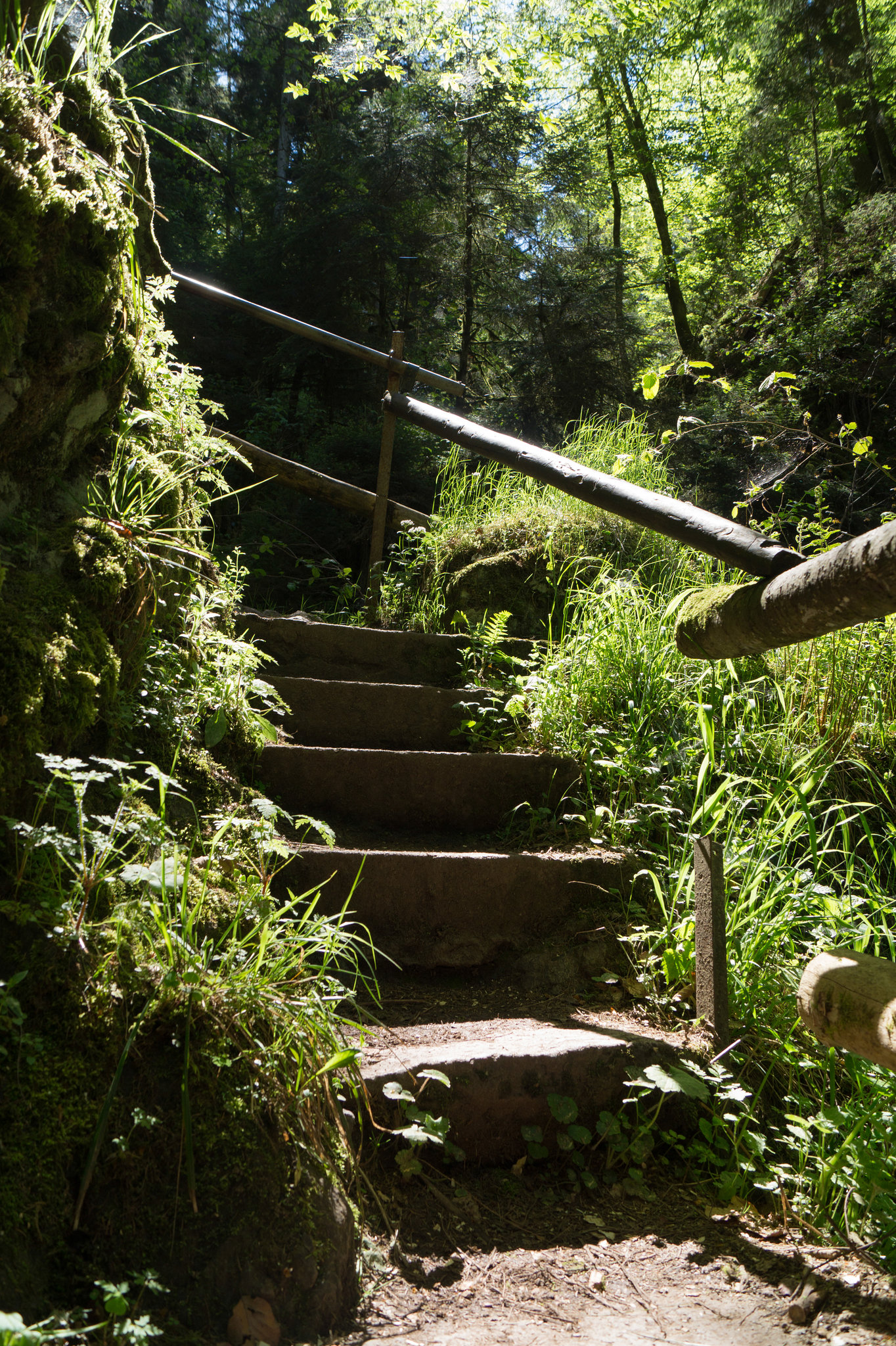 Schwarzwald Lotenbachklamm DSC05766