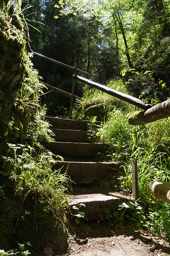 Schwarzwald Lotenbachklamm DSC05766
