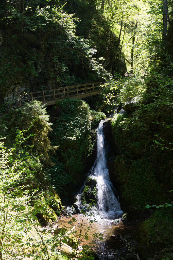 Schwarzwald Lotenbachklamm DSC05746