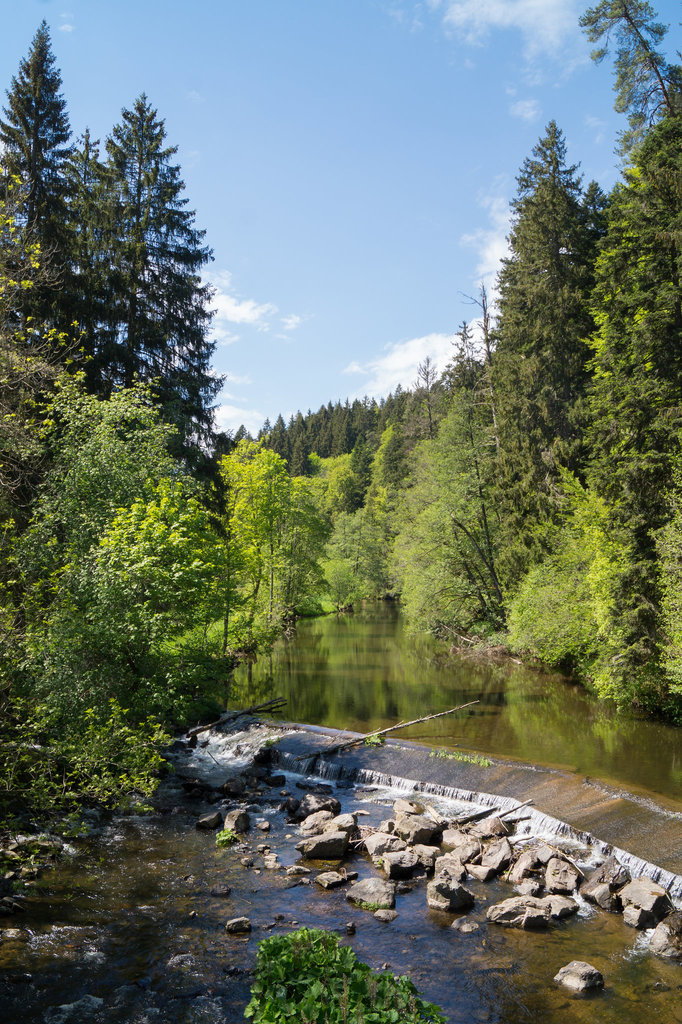 Schwarzwald Wutach Lotenbach DSC05742