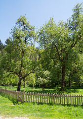 Schwarzwald Löffingen DSC05740