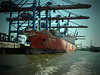 Containerschiff  OOCL "MONTREAL"