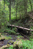 Schwarzwald Lotenbachklamm DSC05715