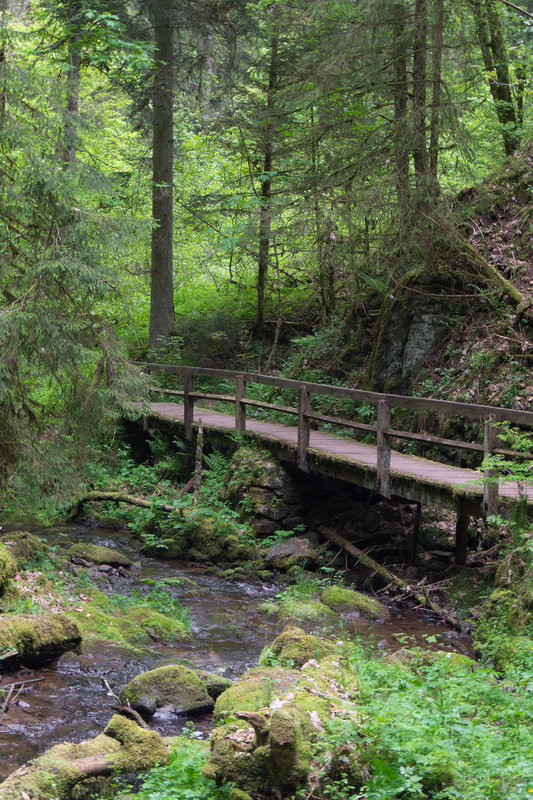 Schwarzwald Lotenbachklamm DSC05715