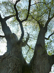 P1020283