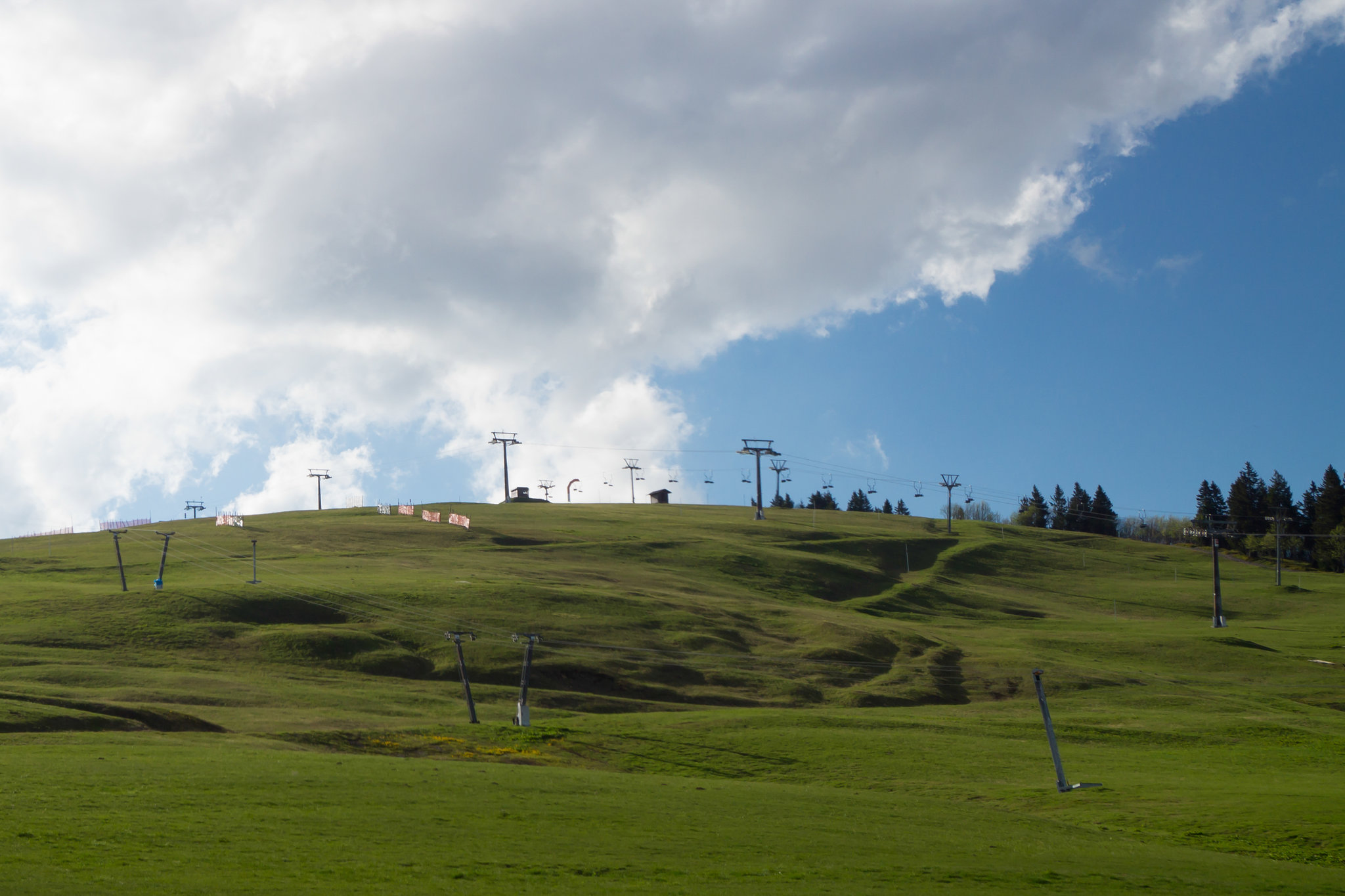 Schwarzwald Feldberg DSC05637
