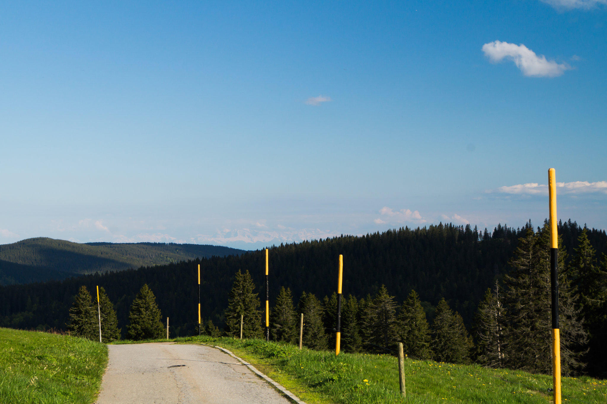 Schwarzwald Feldberg DSC05643