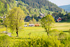 Schwarzwald Menzenschwand DSC05543