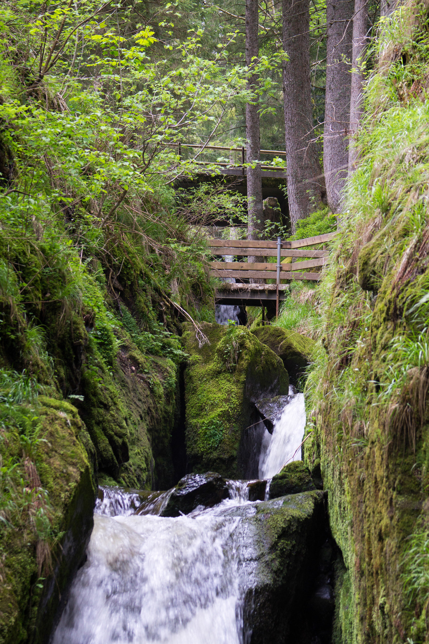 Wasserfall in Menzenschwand DSC05492
