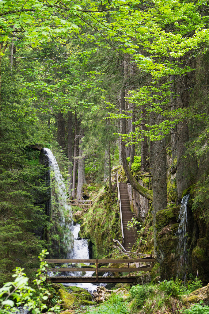 Wasserfall in Menzenschwand