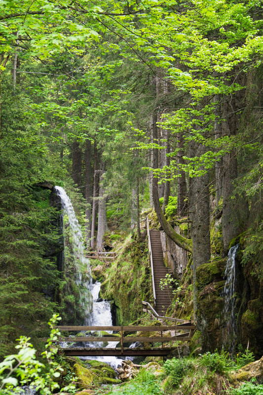 Wasserfall in Menzenschwand