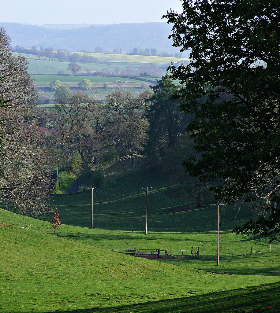 Rustic idyll with telegraph poles