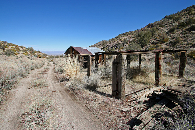 Death Valley National Park - Strozzi Ranch (9530)