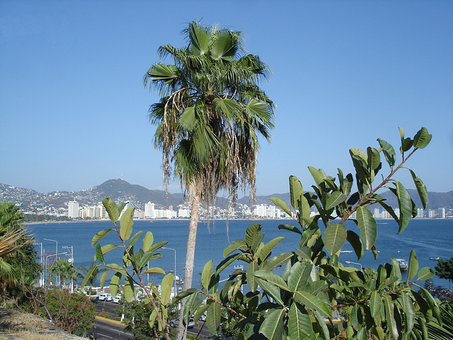 Acapulco, Mexique / 8 février 2011.