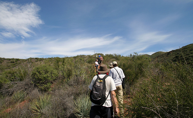 Hiking To The Overlook (9720)