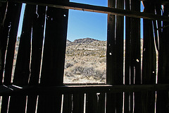 Death Valley National Park - Strozzi Ranch (9555)