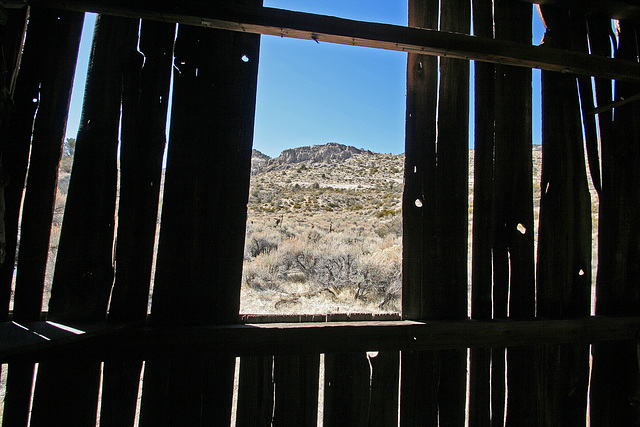 Death Valley National Park - Strozzi Ranch (9555)