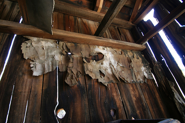 Death Valley National Park - Strozzi Ranch (9556)