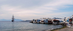 Mikonos veneciana.