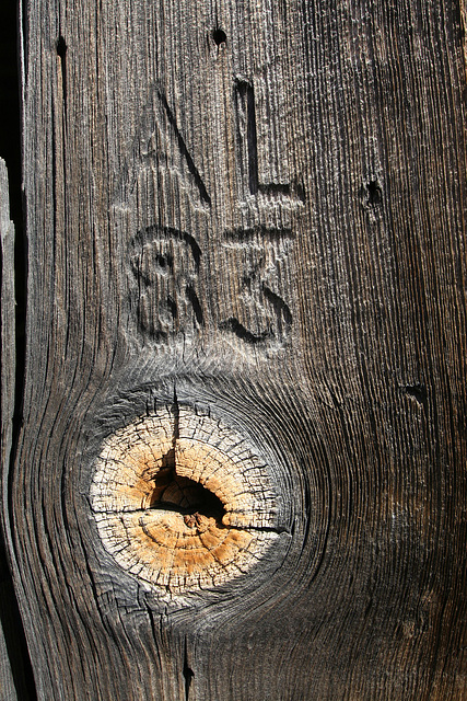 Death Valley National Park - Strozzi Ranch (9573)