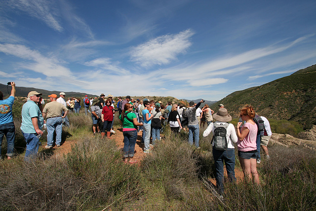 St Francis Dam Site (9732)