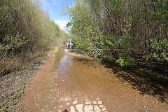 St Francis Dam Site (9779)