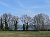 Baumreihe am Starnberger See
