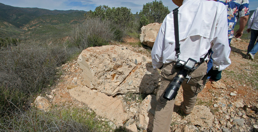 St Francis Dam Wing Dike (9750)