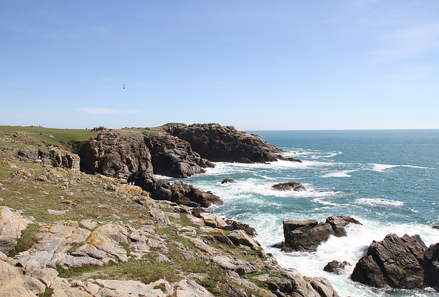 La côte sauvage - Ile d'Yeu