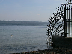am Starnberger See
