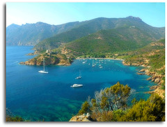 MY CORSICA ATTENDS MOI (GIROLATTA)