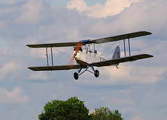 DH60X Moth (b)