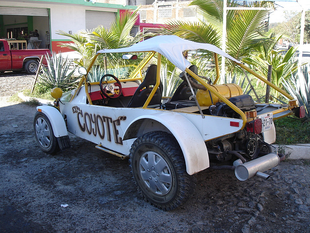 Coyote sur roues / Coyote on tyres.