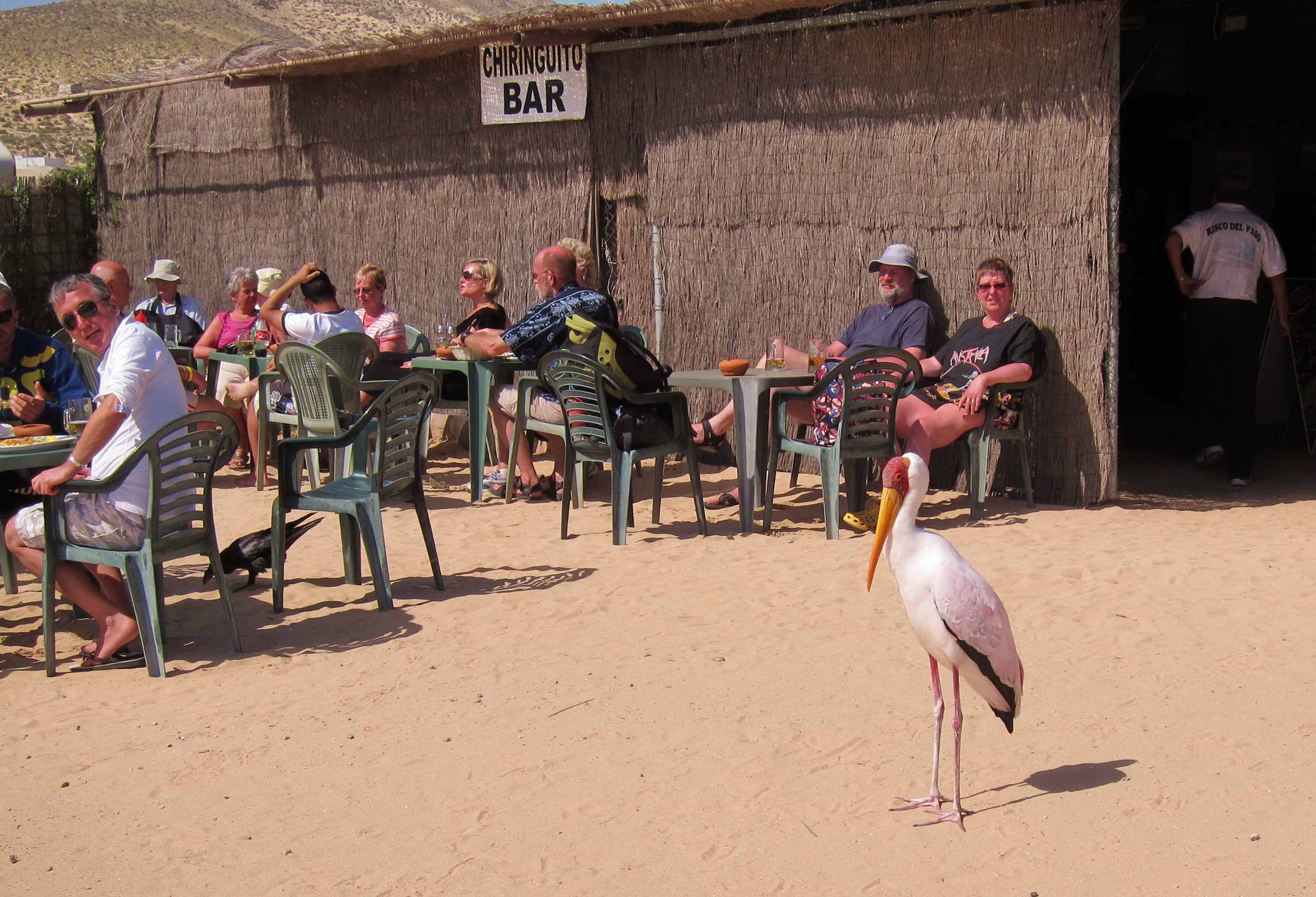 Strandbar am Surf Pro Center II