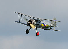 Gloster Gladiator